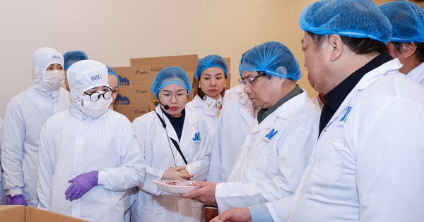 Thủ tướng thăm nhà máy thịt bò do các tập đoàn hàng đầu Việt - Nhật đầu tư