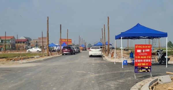 Đất đấu giá ngoại thành Hà Nội gần 80 triệu đồng/m2