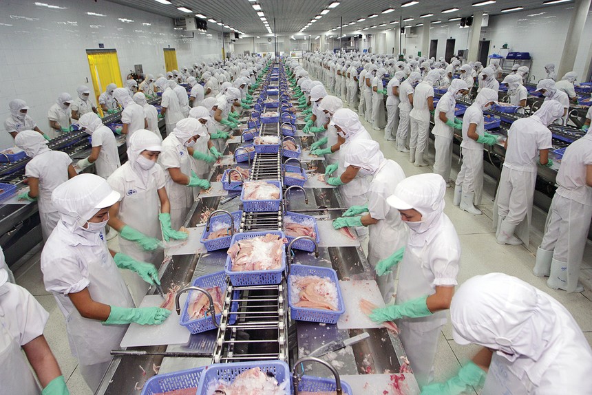 Vĩnh Hoàn (VHC): Áp lực hàng tồn kho giá cao