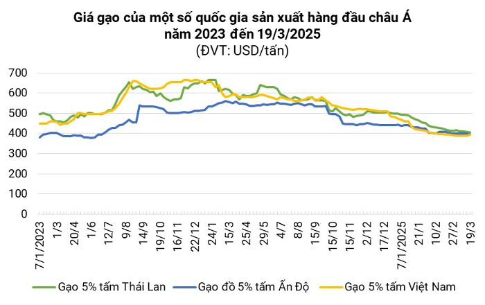 Nhiều nước đẩy mạnh mua gạo Việt Nam, giá nhích tăng trở lại