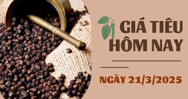 Giá tiêu hôm nay 21/3: Trong nước và thế giới cùng tăng