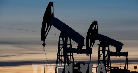 Nga thông báo giảm sản lượng khai thác dầu mỏ trong năm 2025