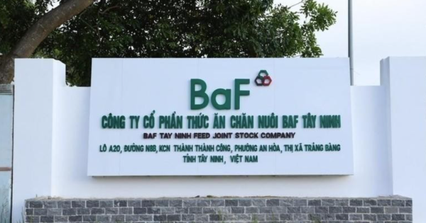 Hai thành viên Ban Kiểm soát Baf Việt Nam từ nhiệm