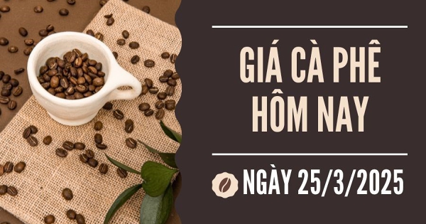 Giá cà phê hôm nay 25/3: Arabica chạm đỉnh 2 tuần, robusta chịu áp lực nguồn cung