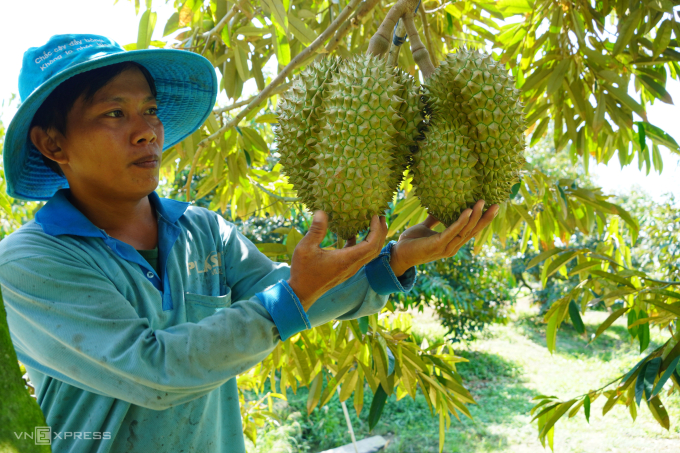 Xuất khẩu rau quả giảm 3 tháng liên tiếp