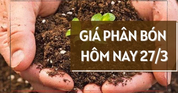 Giá phân bón ngày 27/3: Thị trường chững lại, thấp nhất 280.000 đồng/bao