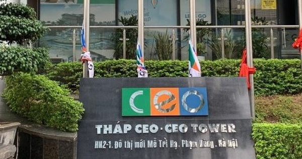 CEO Group lên kế hoạch lãi 182 tỷ đồng trong năm 2025