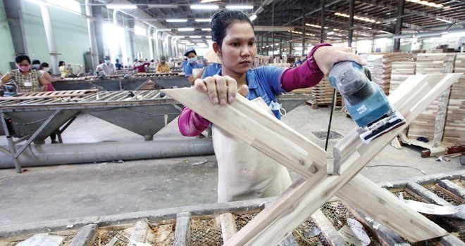 Gỗ Trường Thành (TTF) gia hạn thời gian tổ chức ĐHĐCĐ năm 2025