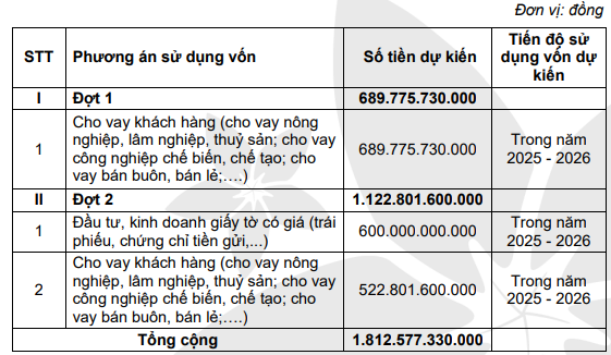 Muốn tăng vốn khủng, Bac A Bank chỉ đặt mục tiêu lợi nhuận khiêm tốn trong năm 2025