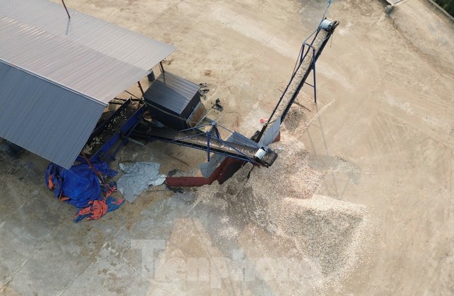 Xưởng chế biến gỗ khủng xây dựng trái phép trên đất nông nghiệp cách UBND xã 300m