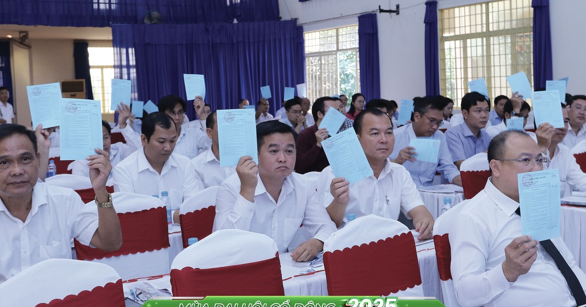 Bảo vệ nhà đầu tư cá nhân trong đại hội cổ đông