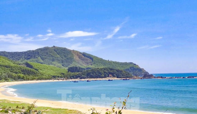 Kiến nghị bổ sung bến cảng Phù Mỹ 2.300 tỷ đồng vào quy hoạch