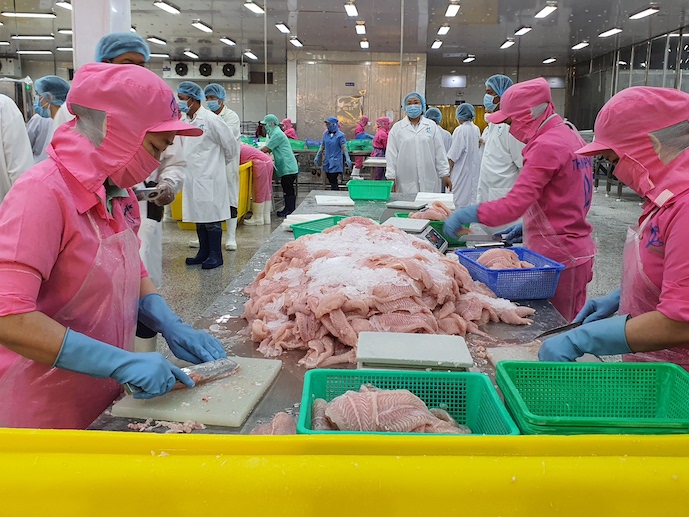 Thuế đối ứng giữ nguyên 10%, doanh nghiệp chạy đua đưa thủy sản sang Mỹ