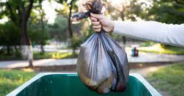 Dọn nhà, cô gái vô tình vứt thứ trị giá 100 tỷ đồng vào thùng rác