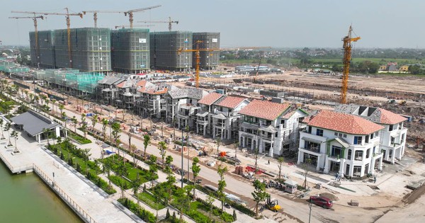 Hàng trăm tỷ đồng phủ xanh đô thị nghỉ dưỡng Sun Group tại Nam Hà Nội