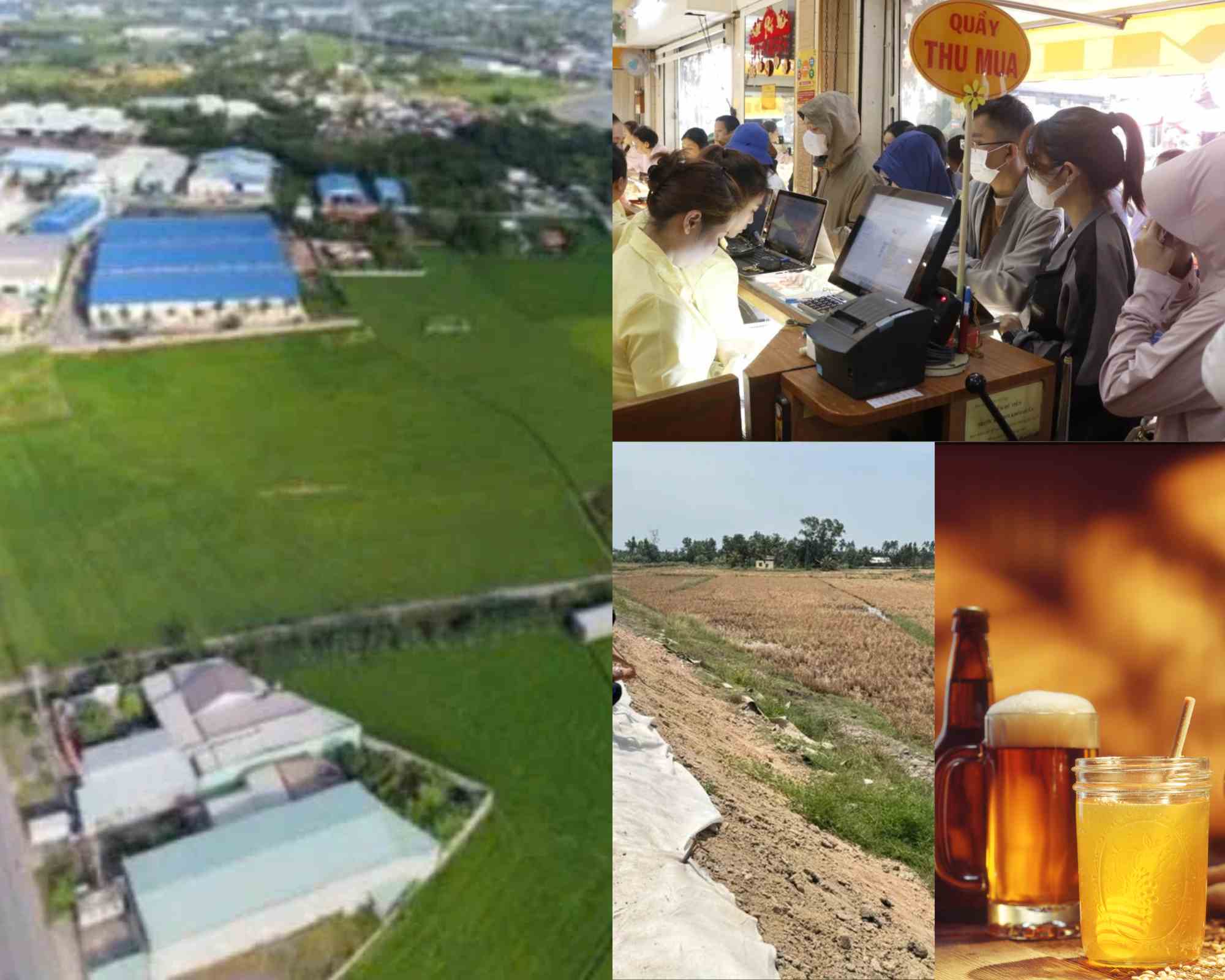 Tin nổi bật: TPHCM kiến nghị miễn tiền thuê đất một số dự án; Vàng xuống dưới 120 triệu đồng/lượng; Bồi thường thiệt hại lúa chết cạnh cao tốc Cần Thơ – Cà Mau