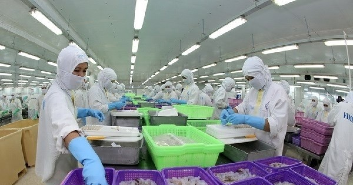 Doanh nghiệp thủy sản 2.400 nhân sự báo lãi quý I/2025 gấp 7 lần: Thị trường chính là Mỹ, Nhật Bản