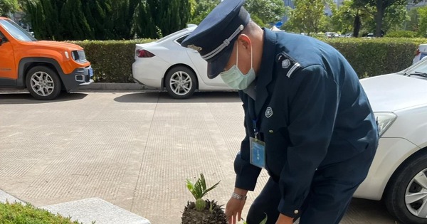 Bác bảo vệ 